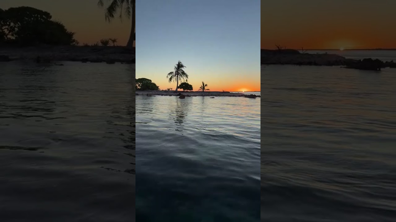 Highlight from our LIVE Harbor Cruise in Rangiroa!