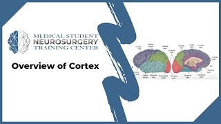 Overview of Cortex
