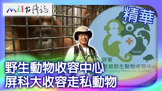 Wildlife Rescue Center.Pingtung University Sheltering Smuggled Animals by MIT台灣誌 1,717 views 9 days ago 15 minutes