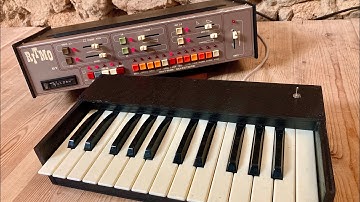 rare birds: Welson Ritmo / analog drum machine and accompaniment unit