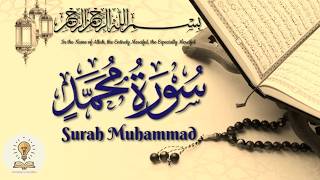 Surah Muhammad (ﷺ) 3 Times Recitation | Surah Muhammad ki Tilawat | سورة محمد تلاوة خاشعة