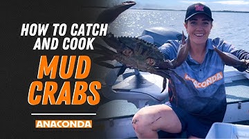How to Catch & Cook Mudcrabs | Anaconda Stores