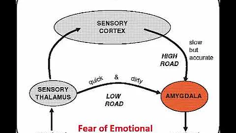 The "Danger Alert" in Perceived Emotional Abandonm...