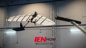 Robotic Bird Perches on a Ledge in Engineering First