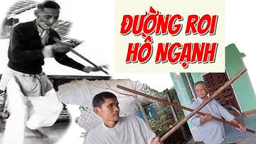 Cảnh giới cao nhất đường roi Hồ Ngạnh có hết trong clip này: Roi chân chạy, 1 phách 1 bước...