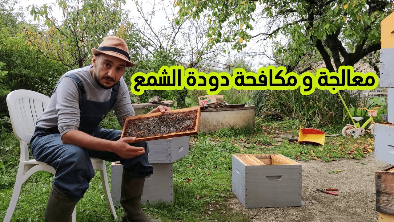 معالجة و حماية الاطارات من دودة الشمع ح/48