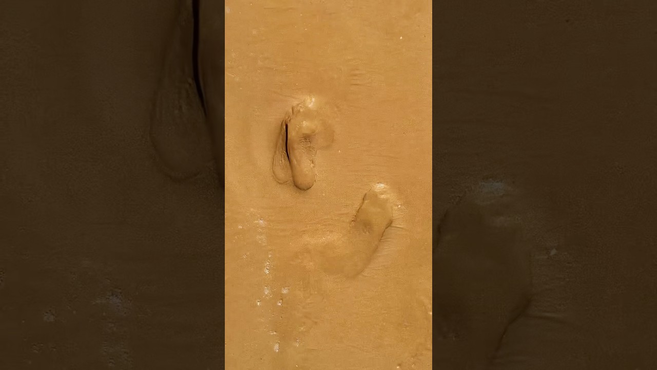 Beach 🏖️ Ocean view ☀️🌊🥰☺️