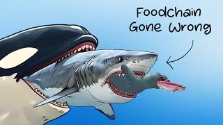 Why It Sucks To Be Born As An Orca