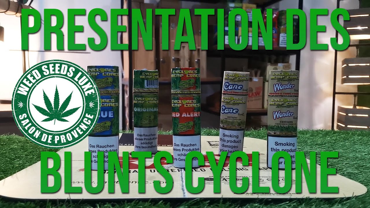 Présentation des Blunts Cyclone - WEEDSEEDSLUXE