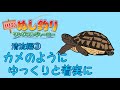 【川のぬし釣り　ワンダフルジャーニー】カメのように、ゆっくりと着実に・・・清流編③