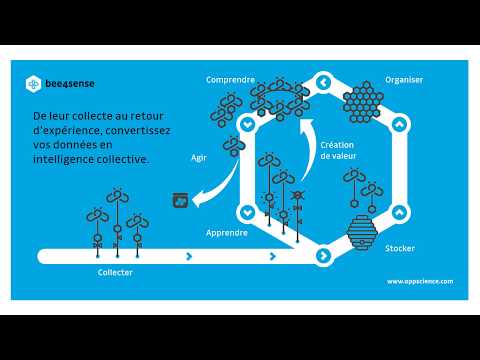 bee4sense   oppScience   AI Paris 2019 - video from oppScience