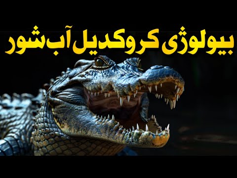 بیولوژی حیرت انگیز کروکدیل آب شور زنده مونده از دوران دایناسورها