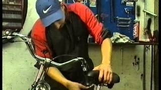 Bio-Bits 57 Het Geraamte