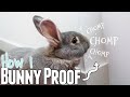 How I Bunny Proof!