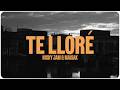 Nicky Jam x Maisak - Te lloré (Official Visualizer)
