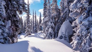 Невероятно Вдохновляющая Очаровательная Музыка Любви! Лучшие Мелодии, Нежность Для Души, Relax Music