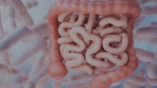Unlocking the Secrets of Your Gut Microbiome #guthealth