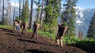 Nagseni Desi Culture Please. Vidio Pure Dakna