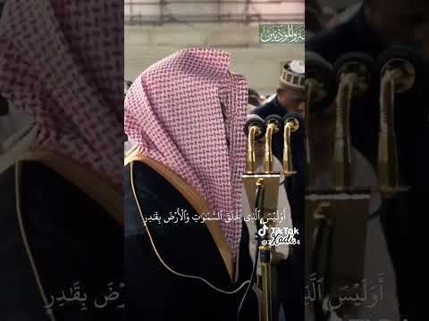 رفعنا اليك اكف الضراعه فجعلنا من اهل الحوض والشفاعه ولا تخزنا يوم تقوم الساعه ما تيسر من سوره يس رفعنا اليك اكف الضراعه فجعلنا من اهل الحوض والشفاعه ولا تخزنا يوم تقوم الساعه ما تيسر من سوره يس