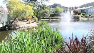 225 Mount Hermon Rd Scotts Valley, CA offered for $425K
