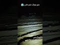 صيد خنزير صيد حذاف شتوي الصيد هواية الملوك صيد ساحل الشمالي طيور جميله متابعه وكسبلاو