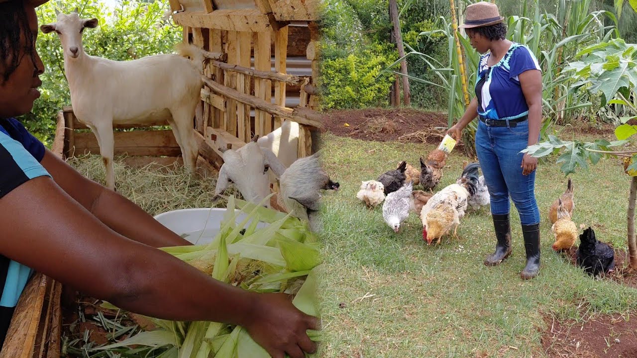 The Ultimate Self-sufficiency Farm Tour. Our Journey to Sustainable Living