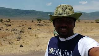 Ngoitoktok Picknick Site  Ngorongoro Crater