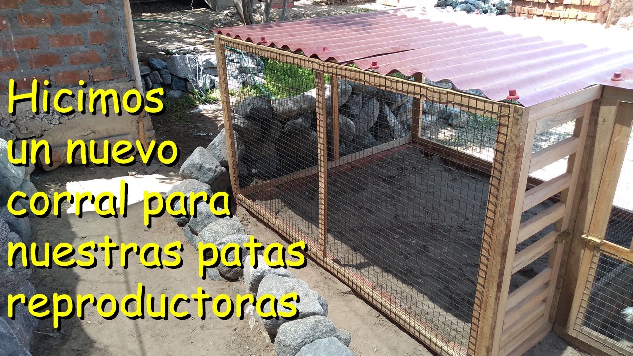 Como hacer un corral para patas reproductoras *facil y rapido *aves de