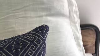 Mickey Mouse And Donald Duck Cartoon Collections Set Is Complete