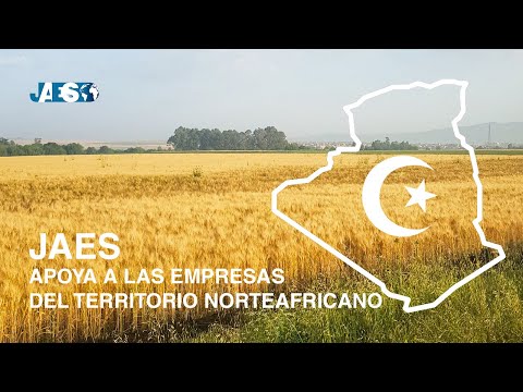 JAES apoya a las empresas del territorio norteafricano