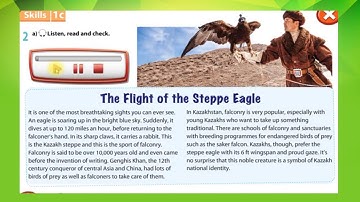 7th grade. the flight of steppe eagles