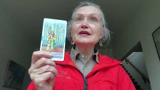 видео: НЕ СЛУЧАЙНО ВЫ ЗДЕСЬ! Опять мешок золота по судьбе! Что Вы видите/ что не видите? ✨ 🏠 💯#Колена Таро картинка: НЕ СЛУЧАЙНО ВЫ ЗДЕСЬ! Опять мешок золота по судьбе! Что Вы видите/ что не видите? ✨ 🏠 💯#Колена Таро