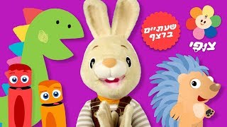 ספיישל שעתיים ברצף בערוץ צופי | טלוויזיה חינוכית לפעוטות חינם | שירים, חיות, משחקים וצבעים לילדים