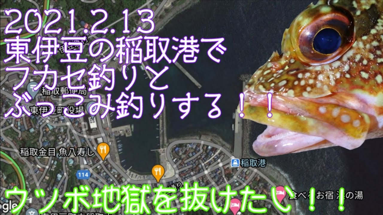 東伊豆の稲取港でぶっこみ釣りする！ReTry！！(2021.02.13)