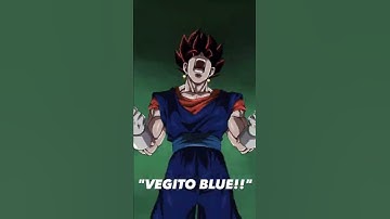 TEQ LR Vegito