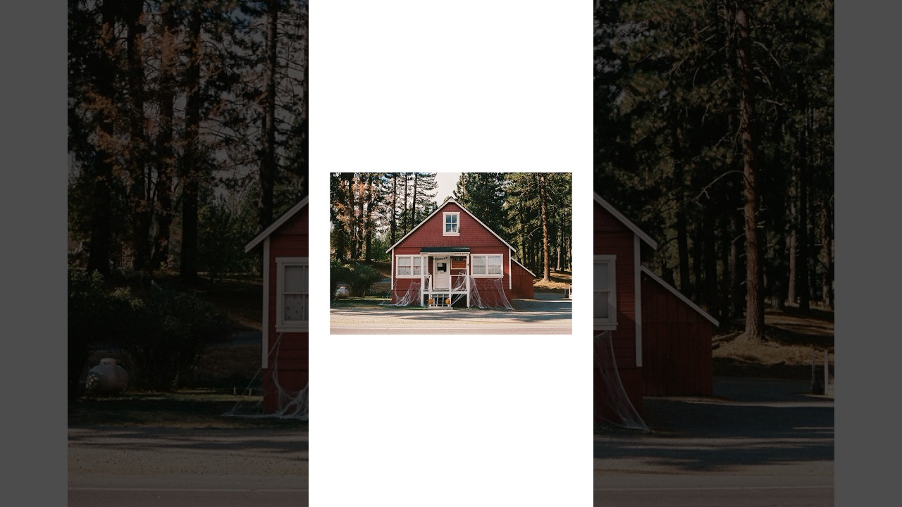 I took my Canon AE-1 to Northern California 