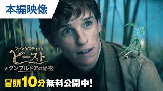 【無料冒頭10分映像】『ファンタスティック・ビーストとダンブルドアの秘密』デジタル配信中
