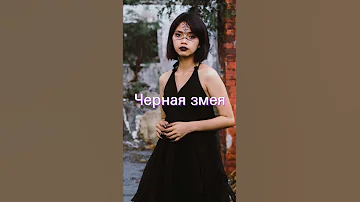 Сон дня: К чему снится Черная змея?