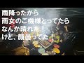 #2-2　妻の家族とキャンプに行ってみた