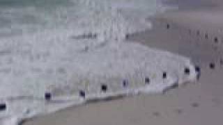 Hidden Topographies (detail)