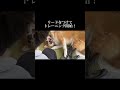 演技派女優 #doglibre #ドッグトレーニング #犬のしつけ #柴犬