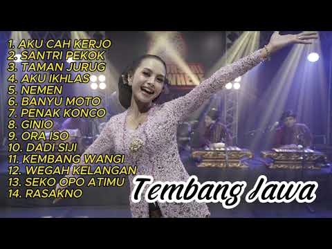 Full Album - Aku Cah Kerjo - Viral TikTok 2023