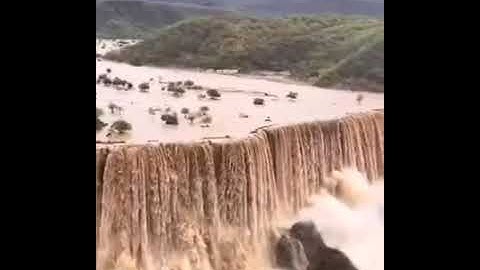 سورة التكاثر بصوت الشيخ ياسر الدوسري 🌹