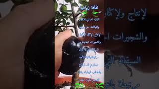 ماهو الترقيد الهوائي للاشجار والنباتات/Air layering trees gardening air how