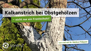 Wo bekomme ich Kalk für Obstbäume?