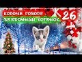 КОРОЧЕ ГОВОРЯ, Я БЕЗДОМНЫЙ КОТЕНОК Лайки 26 [От первого лица] История одной жизни