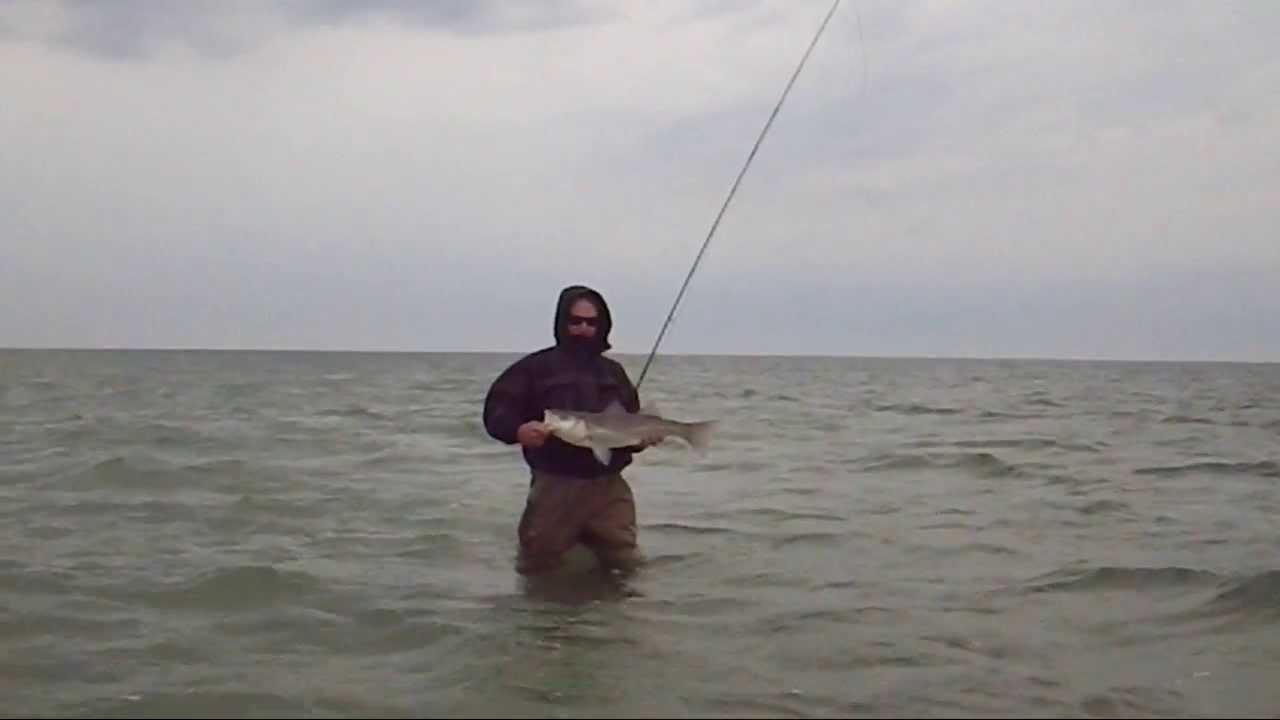 Russ's First Striper on the Fly Cape Cod Fly Fishing May 11, 2013