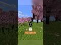 It's My Birthday 🎂🎈#trending #minecraft #shorts #birthday #minecraftviralshorts #subscribe