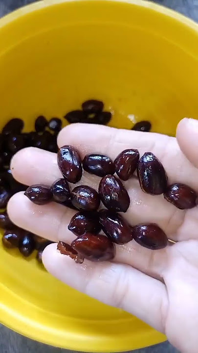 Gagal masak karna kacangnya gosong😱😱