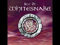 Whitesnake Too Many Tears